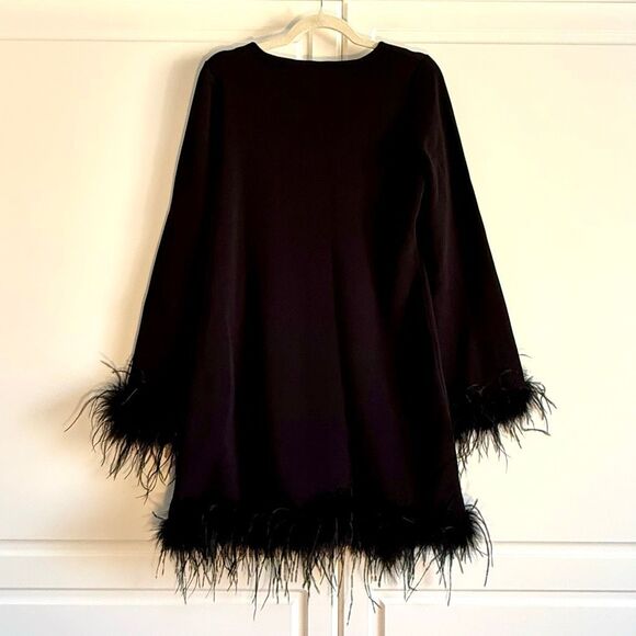 NWT WAYF (Where Are You From) “Karlie” black feather trim long sleeve mini dress - Picture 10 of 13